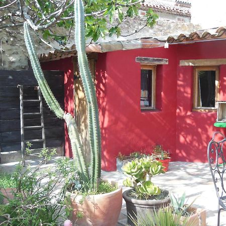 Maison Dans Jardin Villeseque-des-Corbieres المظهر الخارجي الصورة